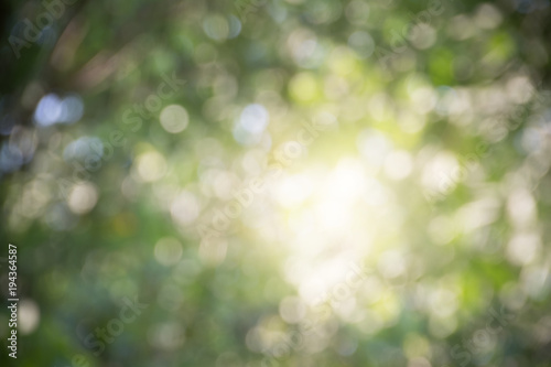 bokeh caused by sunlight shining through the trees, showing beautiful bokeh effect, good for using as background