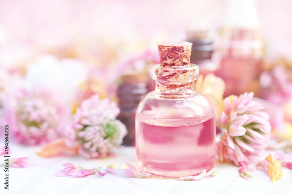 Essential oils on medicinal flowers and herbs background: chamomile, clover, yarrow, selective focus, toned Essential oils on medicinal flowers and herbs background: chamomile, clover, yarrow, selective focus, toned