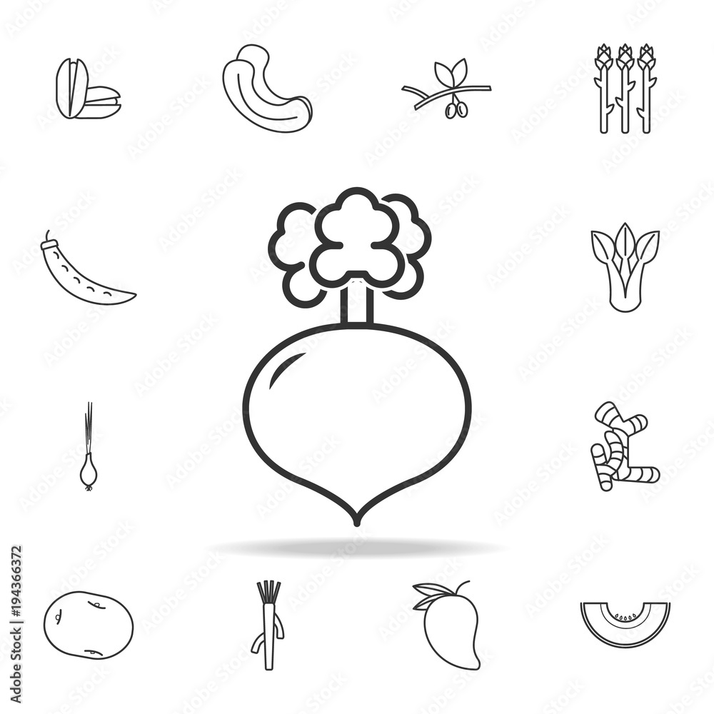 Obraz premium Radish icon. Set of fruits and vegetables icon. Premium quality graphic design. Signs, outline symbols collection, simple thin line icon for websites, web design, mobile app