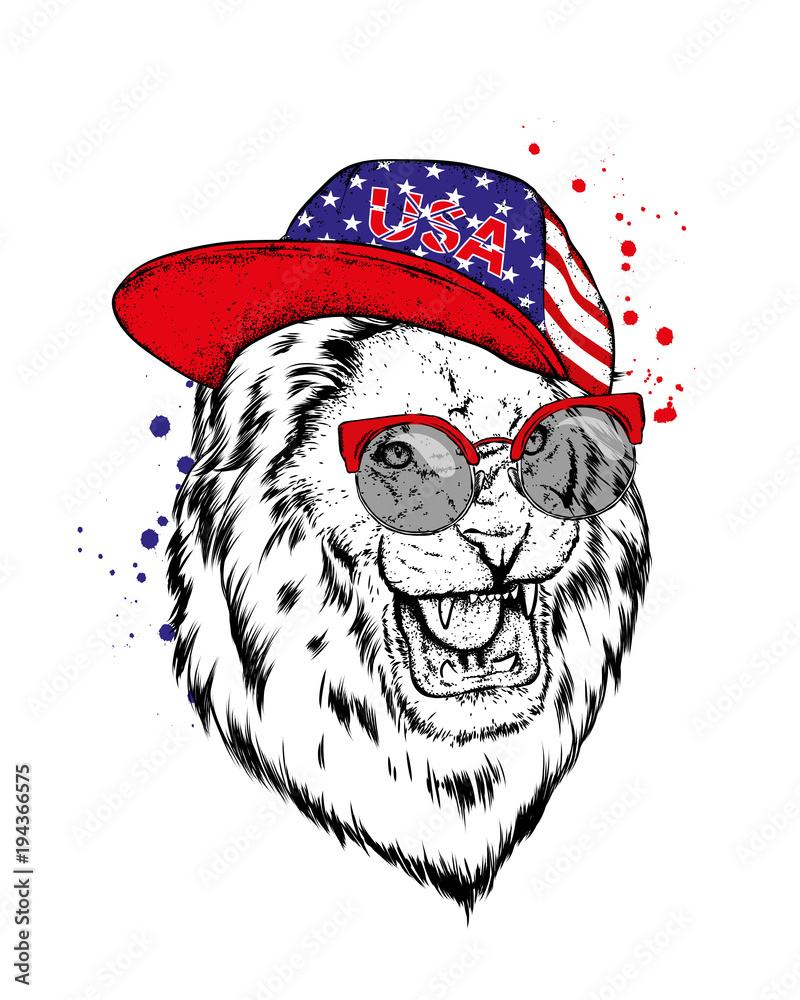 Lion in cap and glasses. Lion in cap and glasses.