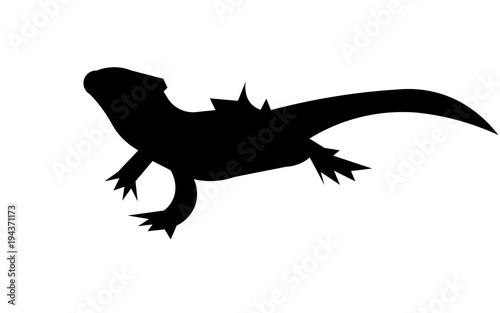 bearded dragon silhouette on white background