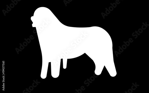 white bernese mountain dog silhouette on black background