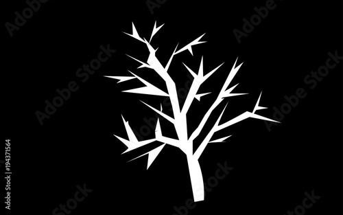 Fototapeta Naklejka Na Ścianę i Meble -  white mesquite tree silhouette on black background