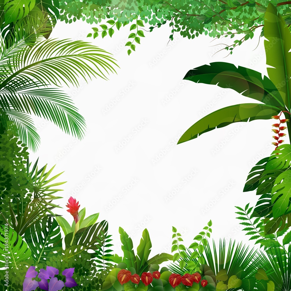 Tropical jungle on white background 