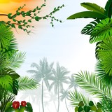 Tropical landscape with palm trees and leaves