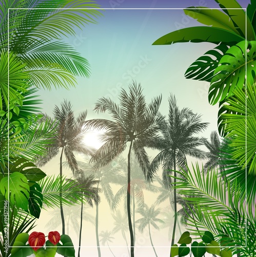 Tropical morning landscape with palm trees and leaves