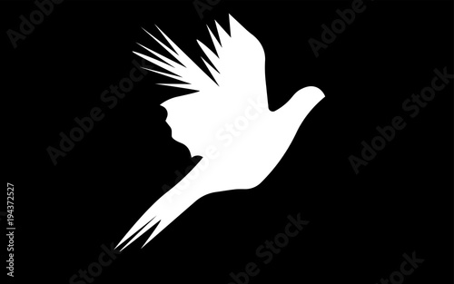 white flying pheasant silhouette on black background