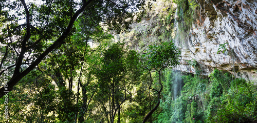 Floresta com cascata. © JCLobo