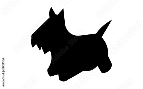 scottie dog silhouette on white background photo