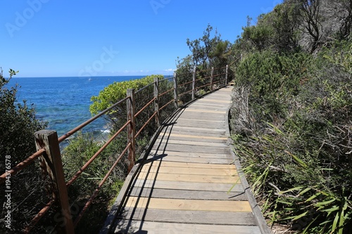 Manly Beach and Shelly Beach are two of the most popular beaches in Sydney NSW Australia. A perfect sunny day at the northern beaches including wildlife  rock pools  coastal walks and more.