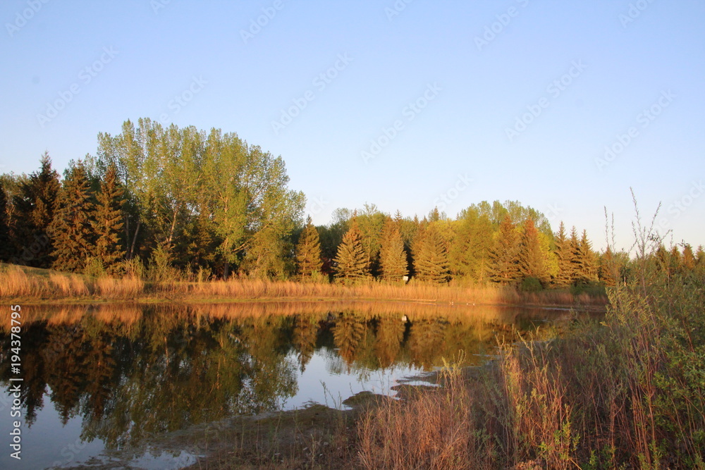 Fototapeta premium Evening Sun On Pond, Gold Bar Park, Edmonton, Alberta