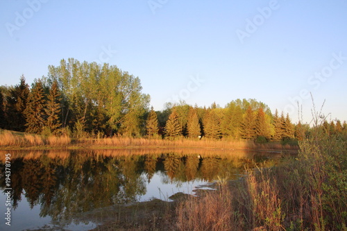 Evening Sun On Pond, Gold Bar Park, Edmonton, Alberta