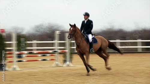 Horse obstacle course and parkour