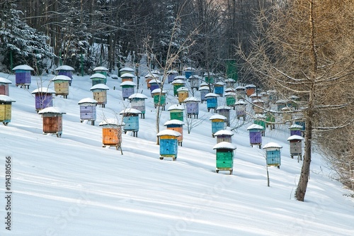 Beehives in snow.