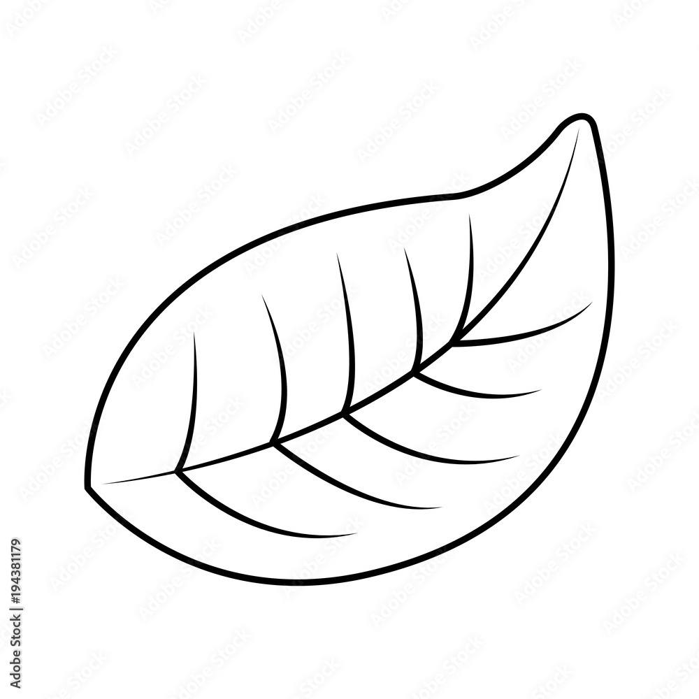 natural foliage leaf botanical icon vector illustration outline image