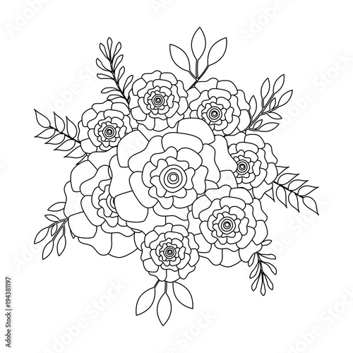 bunch flowers carnation leaves oranement vector illustration outline image