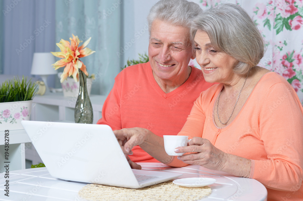beautiful senior couple using laptop beautiful senior couple using laptop