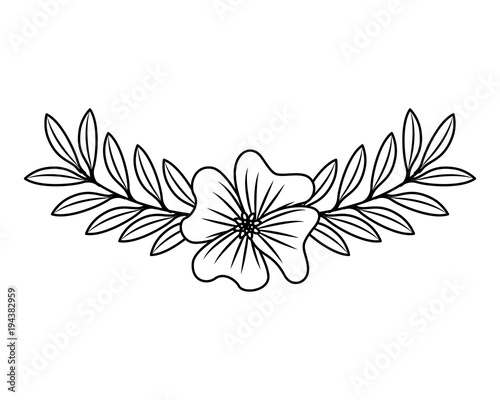 cute flower periwinkle and branch with leaves foliage decoration vector illustration outline desing
