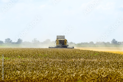 Combine harvesters Agricultural machinery. The machine for harvesting grain crops. photo