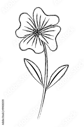 cute flower periwinkle petals leaves stem icon vector illustration sketch image