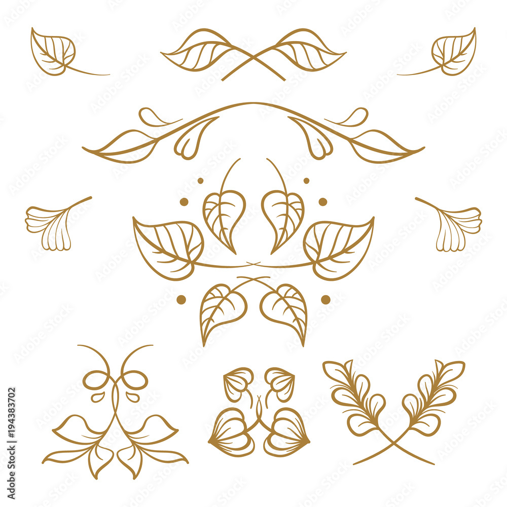 Vector hand drawn floral elements set. Vector hand drawn floral elements set.