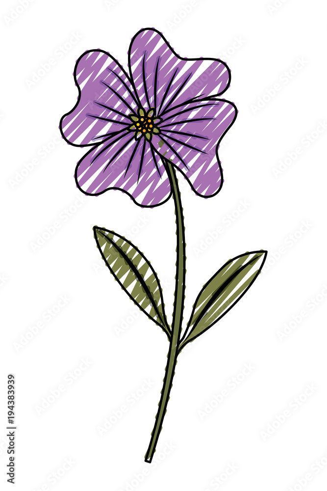 cute flower periwinkle petals leaves stem icon vector illustration drawing image