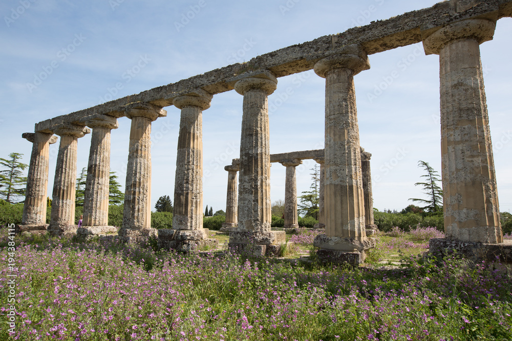 Palatine Tables, Metaponto