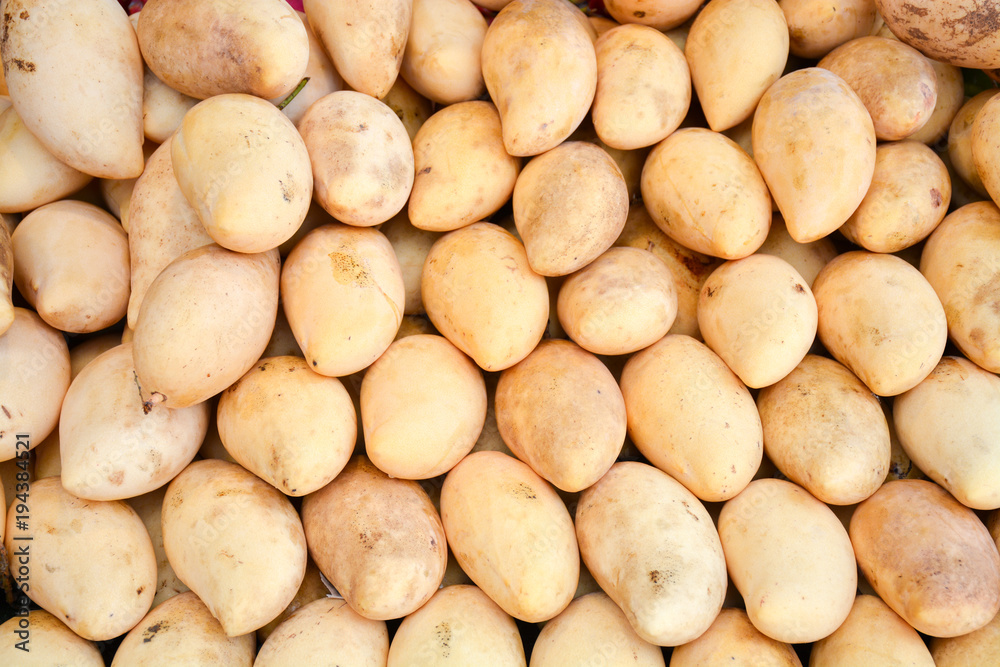 fresh mango background on the market.Asian fruits.Thailand fresh mango background on the market.Asian fruits.Thailand