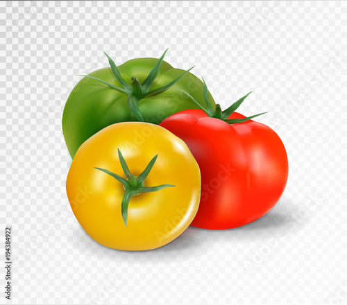 Group of three realistic tomatoes isolated on a transparent background. Red, yellow and green tomato set. Vector 3d illustration.