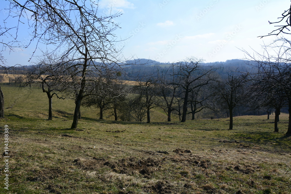 Streuobstwiese zwischen den Hügeln