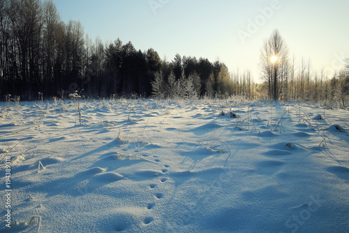 winter landscape with a horizon, field and sky
