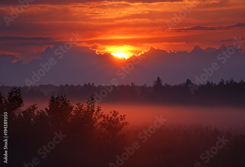 Landscape near Dabrowa Bialostocka. Poland © Andrey Shevchenko