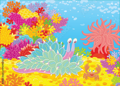 Funny tropical mollusc and a friendly smiling crab on a colorful coral reef, a vector illustration in a cartoon style