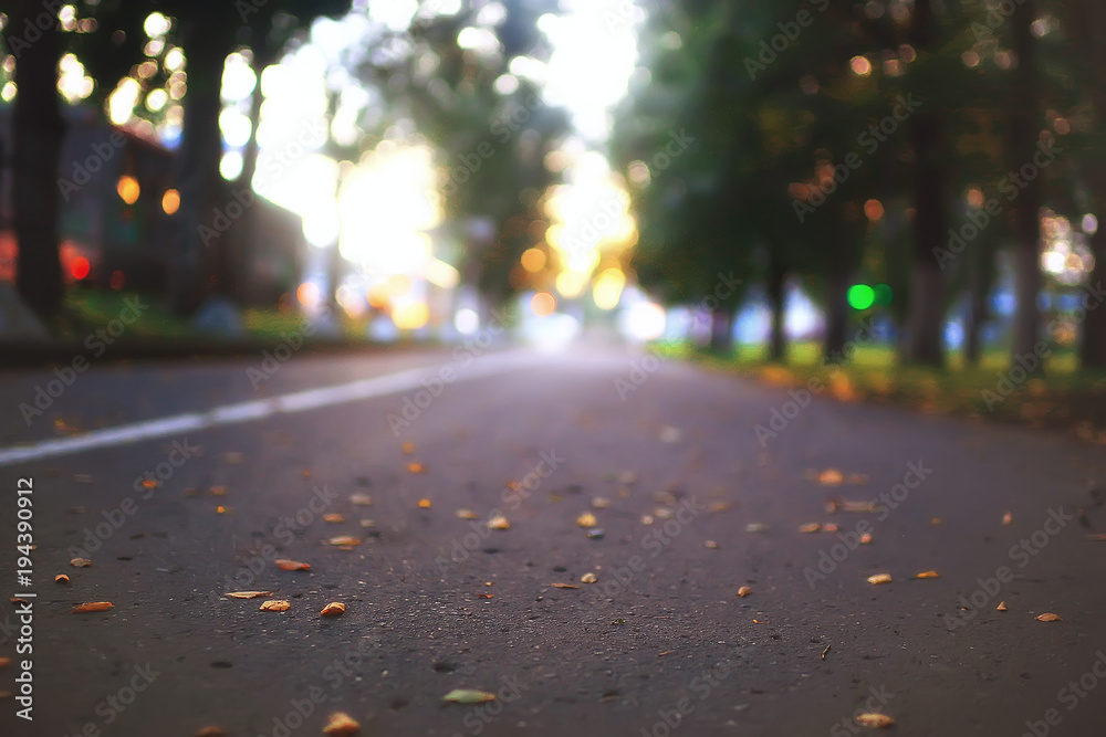 Fototapeta premium autumn alley in the park / autumn walk in the city park, weekends alone. The concept of calm and autumn freshness among trees and branches with yellow leaves