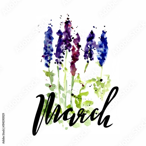 Watercolor illustration of wildflowers, painting lupines on a white and colored background with letterinf of march