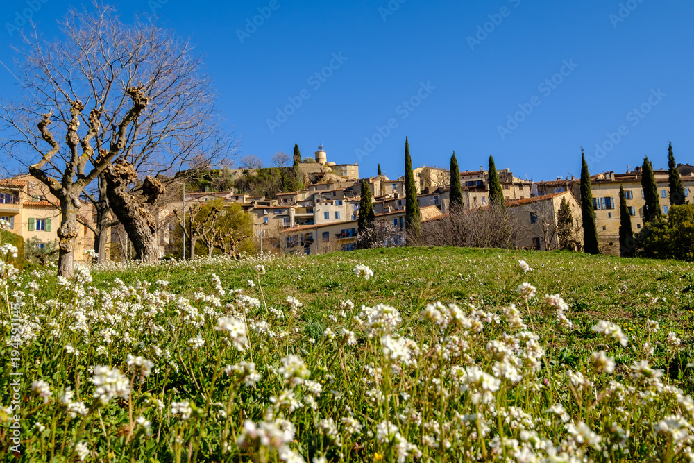Vue sur le village de Fayence, fleurs sauvages au premier plan.