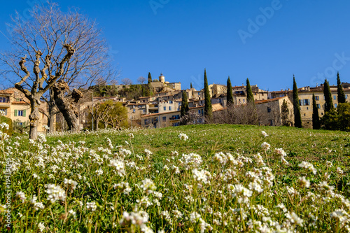 Obraz na płótnie Vue sur le village de Fayence, fleurs sauvages au premier plan. w salonie
