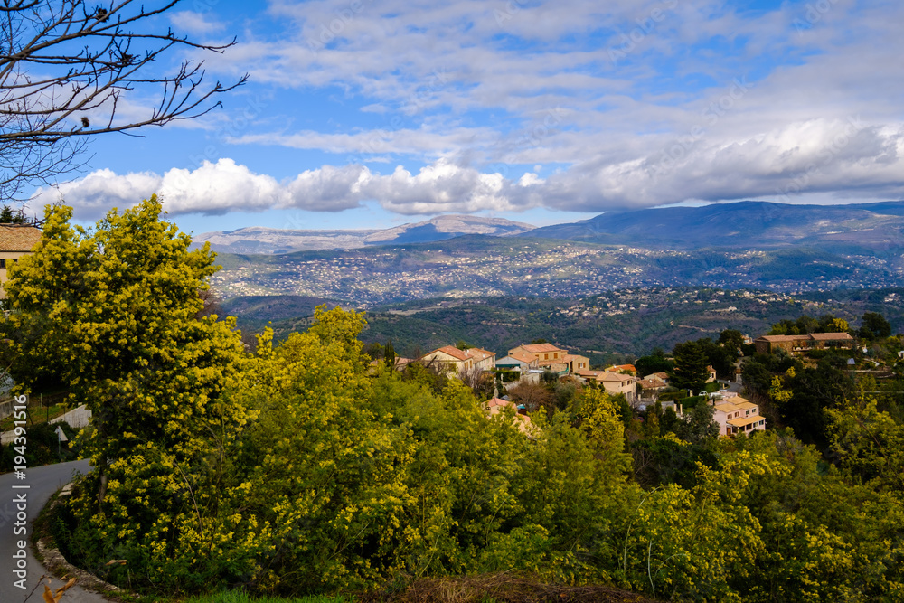 Vue panoramique sur le massif et le village de Tanneron, arbres de mimosa en fleurs. Provence, sud de France.