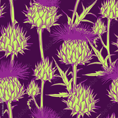 Seamless pattern with onopordum acanthium. Scottish thistle photo