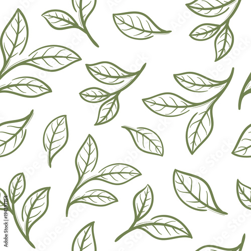 tea leaf  seamless pattern
