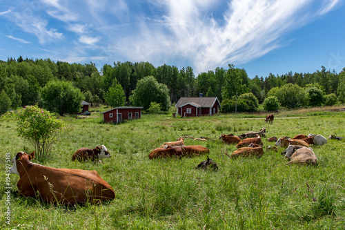 Farm of Själö Island