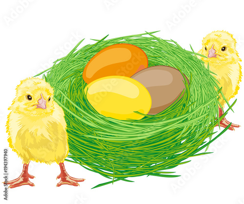 Grünes Oster Nest mit Eiern und zwei Küken Feiertag Dekoration