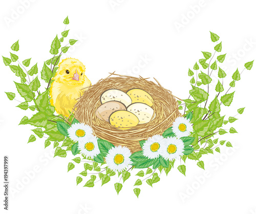 Ein Küken mit Oster Nest und Zweigen  mit Gänseblümchen Oster Dekoration