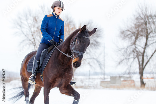 Young rider girl on bay horse walking on snowy field in winter. Winter equestrian activity background with copy space