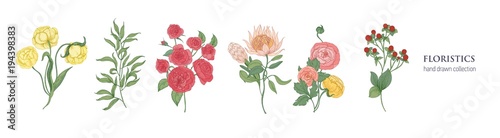 Set of blooming flowers and decorative flowering plants for floristics isolated on white background. Bundle hand drawn of elegant floral decorations. Natural vector illustration in vintage style.