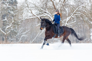 Young rider girl on bay horse galloping in winter. Equestrian winter activity background