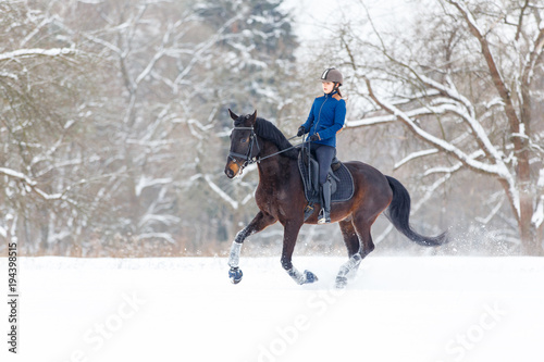 Young rider girl on bay horse walking on snowy field in winter. Winter equestrian activity background