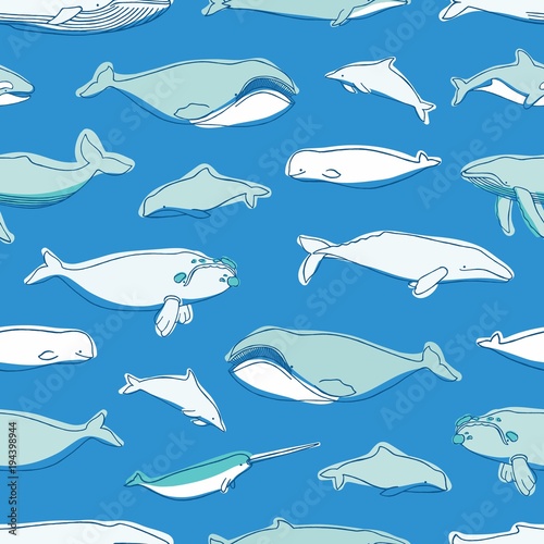 Gorgeous seamless pattern with various aquatic marine mammals hand drawn on blue background - whales, narwhal, dolphin, cachalot