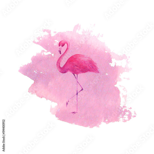 Flamingo on watercolor pink...