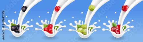 Berries in yogurt flow. Gooseberry, cranberry, redcurrant, blackcurrant and milk splashes realistic vector icon set